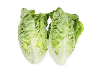 Fresh green romaine lettuces isolated on white, top view