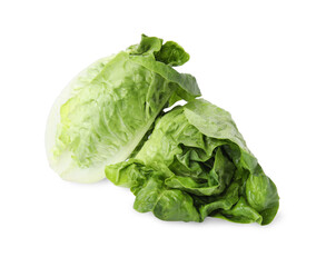Obraz premium Fresh green romaine lettuces isolated on white