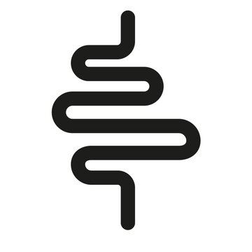 Intestines line icon or digestion system symbol. Vector illustration. stock image.