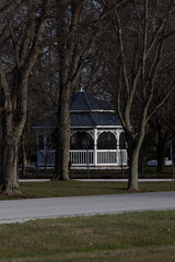 Fototapeta premium park in the city