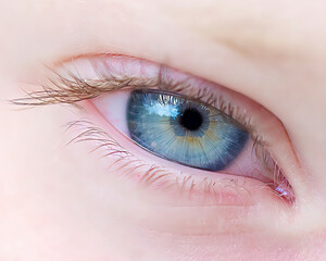 Obraz premium Blue eye