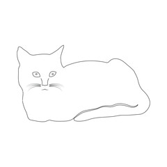 cat icon vector