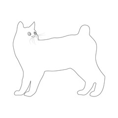 cat icon vector