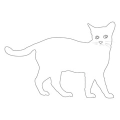 cat icon vector