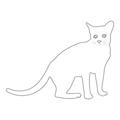 cat icon vector
