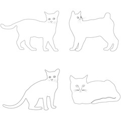 cat icon vector