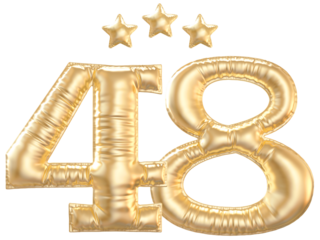 48 year anniversary number Gold