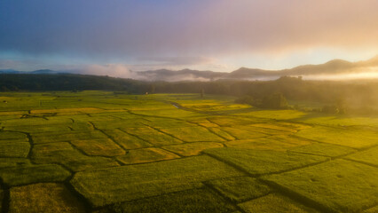 Panorama shot from drone angle, blurred background. Fields that are green, yellow, gold, in the...