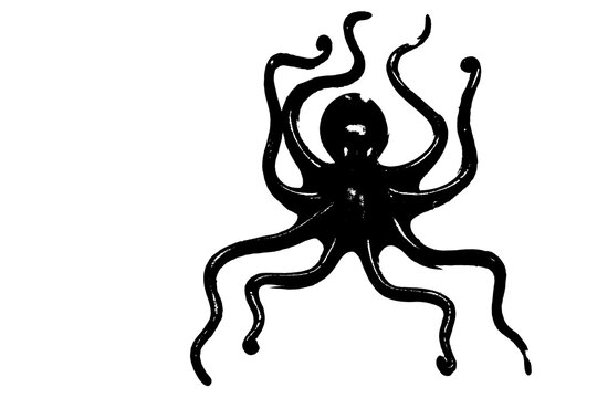 black silhouette of octopus isolated on white background, invertebrate animal