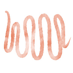 Orange Watercolor Doodle Squiggle