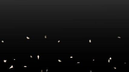 Confetti Falling Festive Animation on Black Background
