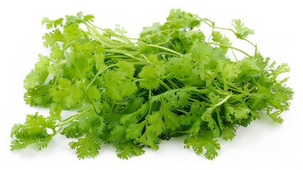 Fototapeta premium parsley on white background