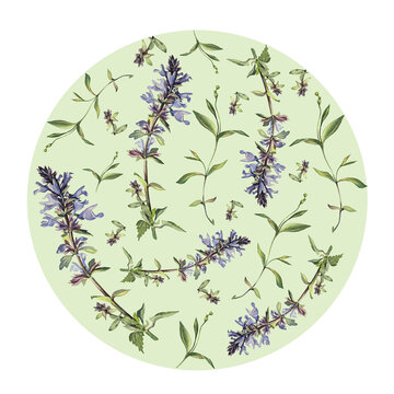 watercolor sage flowers on light green circle clip art preview