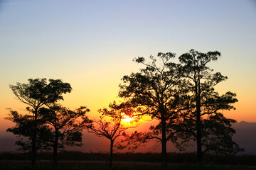 Fototapeta na wymiar Silhouette sky sunset have the trees background of beautiful.