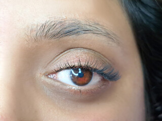 Obraz premium close up of eyelash extensions in beauty salon macro eye. 2d,3d,russian volume,kim classical volume