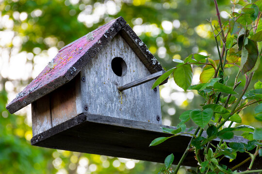 An image of an old retro styled bird house with sun bleached and faded wood.