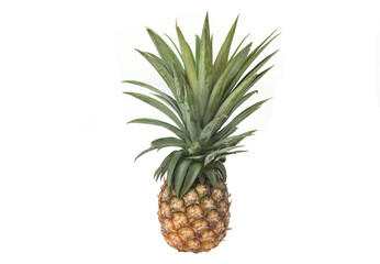 Fototapeta premium Pineapple on white background isolated.