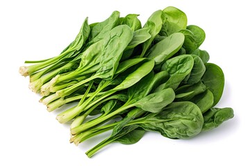 A Bunch Of Green Spinach Vegetable On White Background
