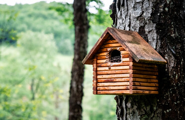 wooden bird house