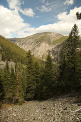 Obraz premium Custer Gallatin National Forest and Beartooth Mountains, Montana