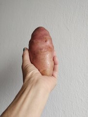 hand holding a potato