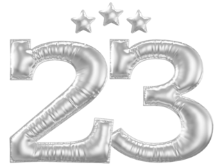 23 year anniversary number silver