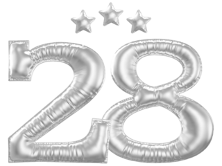 28 year anniversary number silver