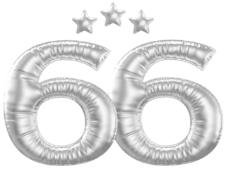 66 year anniversary number silver
