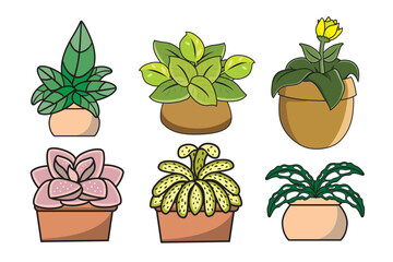 Houseplants in pots isolated on white background. Vector illustration.