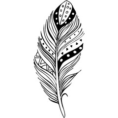 Obraz premium Bird feather. Hand drawn illustration converted to vector. Outline with transparent background