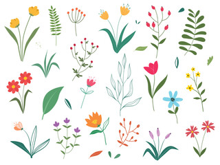 Set of Flowers collection, floral design elements