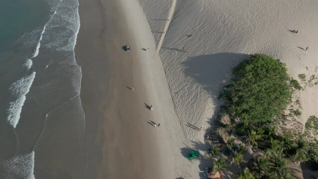 AERIAL - Parasols and people on Genipabu beach, Brazil, top down forward tilt up reveal