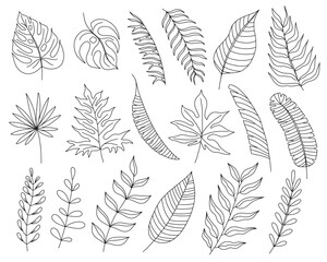 Fototapeta na wymiar Tropical Leaves in doodle style. Vector hand drawn black line design elements. Exotic summer botanical illustrations. Monstera leaves, palm, banana leaf.