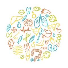 Round illustration from the collection of human organs, hand-drawn in the style of a doodle