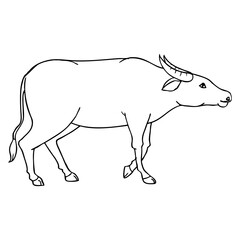 buffalo line vector illustration