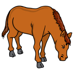 horse vector illustration