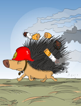 Hedgehog fireman preventing firest fire 