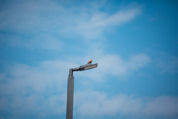airport control tower