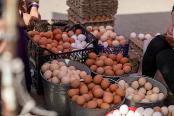 a white and brown egg