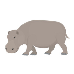 Hippopotamus. Animal hippopotamus, vector illustration