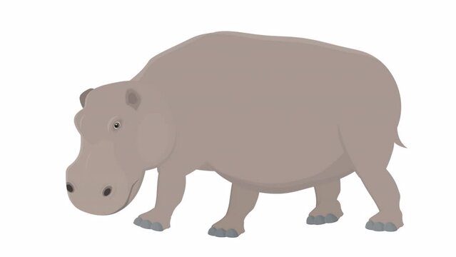 Hippopotamus. Animation animal hippopotamus, alpha channel enabled. Cartoon