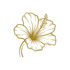 Hand drawn hibiscus flower. Hibiscus flower line art vector illustration © putra_purwanto