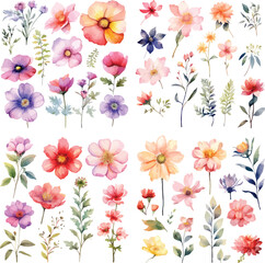 Set of watercolor floral branch. Wedding concept with flowers and leaf branch. Botanical watercolor floral wedding, poster, invite. Vector floral arrangements for greeting card or invitation design