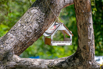 An empty bird feeder on a tree on a summer day