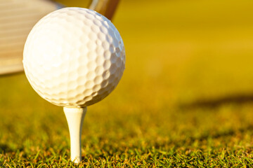 golf ball on green grass