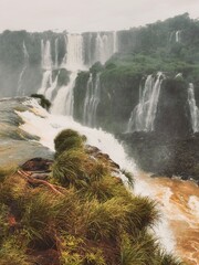 waterfall in the forest, Iguazu