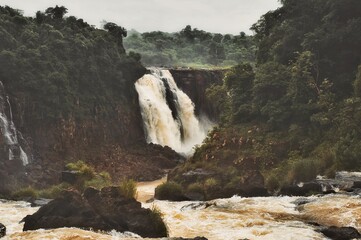 waterfall in the forest, Iguazu
