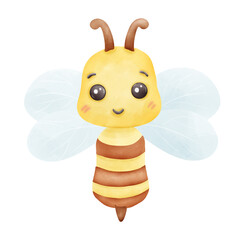 Bee, front, isolated