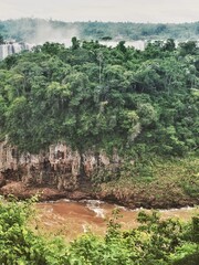 landscape with trees, Iguazu waterfalls, Argentina 