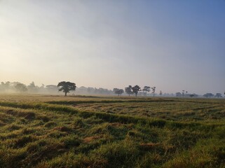 tractor in field